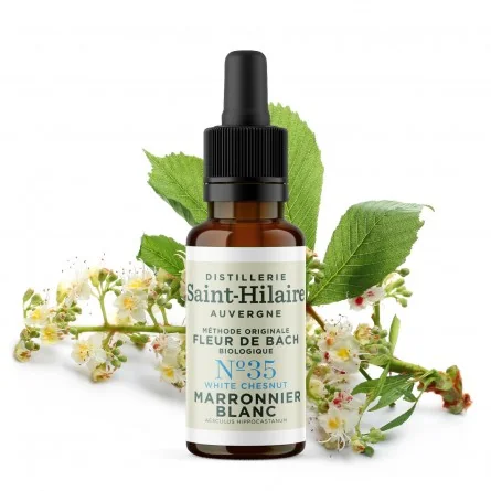 Fleur de bach marronnier blanc n°35 bio (white chesnut) - 1